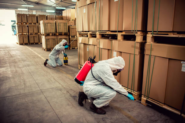 Best Cockroach Control Services  in Jacksboro, TX