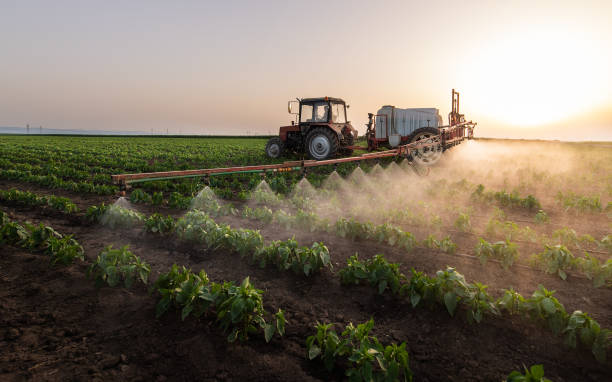 Best Best Pest Control Companies  in Jacksboro, TX