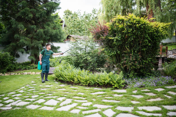 Best Affordable Pest Control Services  in Jacksboro, TX