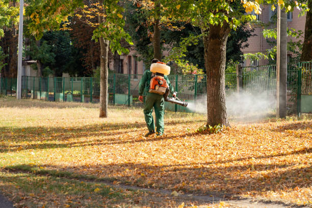 Best Residential Pest Control  in Jacksboro, TX